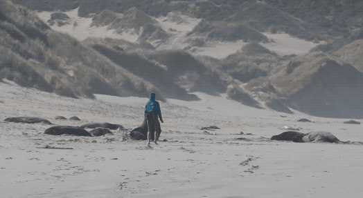 640-20260311-153857-69b1ef01604a9