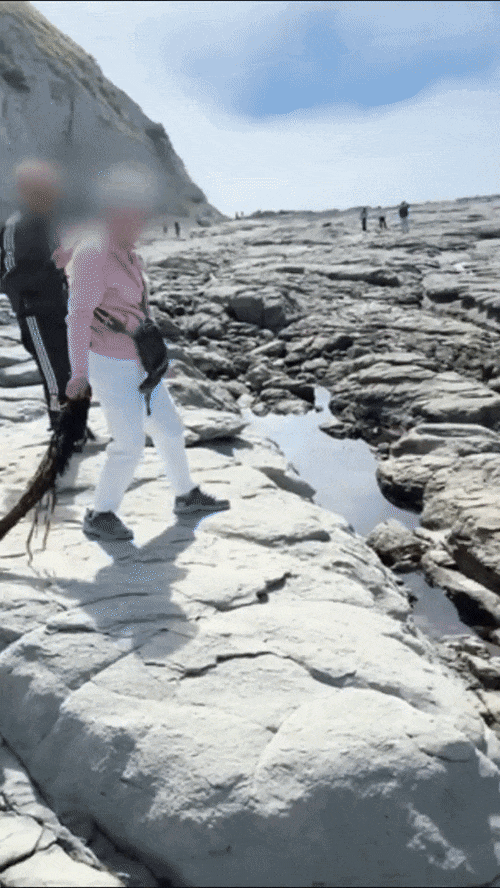 640-20260311-153858-69b1ef028925a