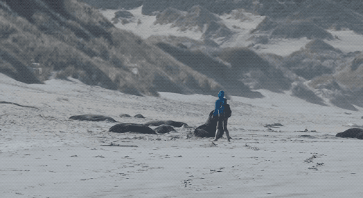 640-20260311-153858-69b1ef02b0c49