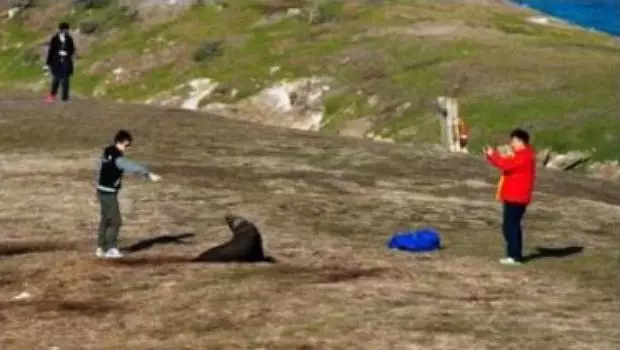 640-20260311-153858-69b1ef02df30e