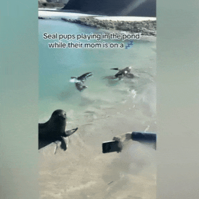 640-20260311-153859-69b1ef036568b