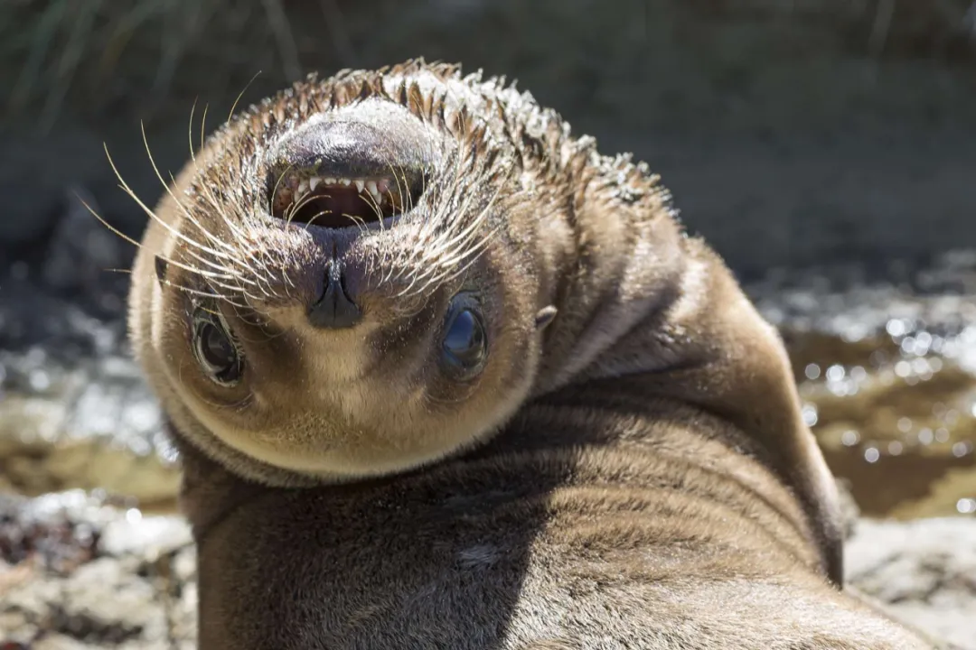 640-20260311-153859-69b1ef036880c