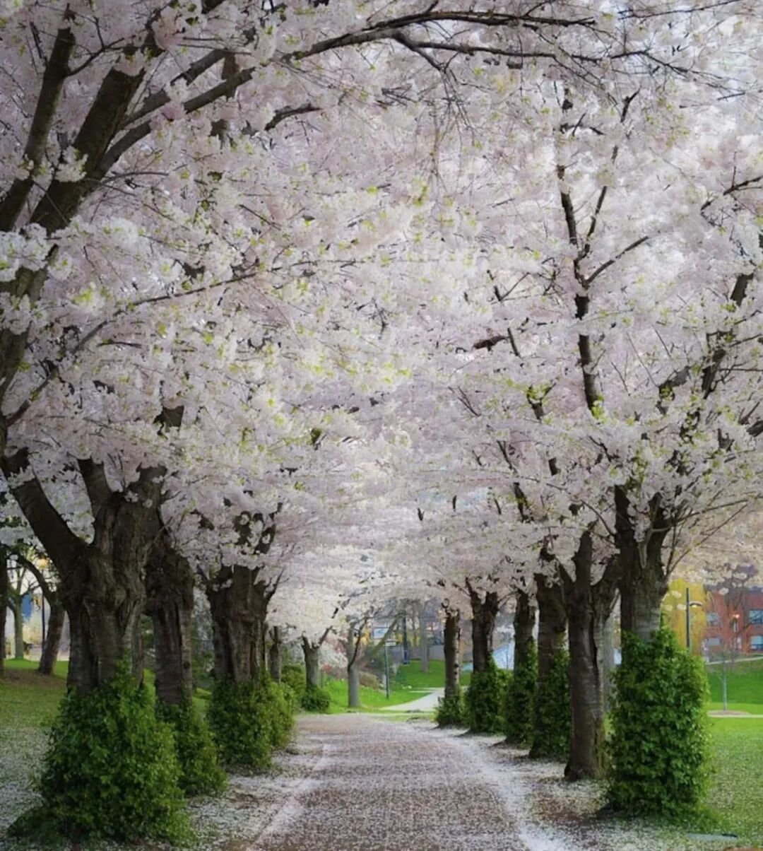 640-20260312-122105-69b3122103d73