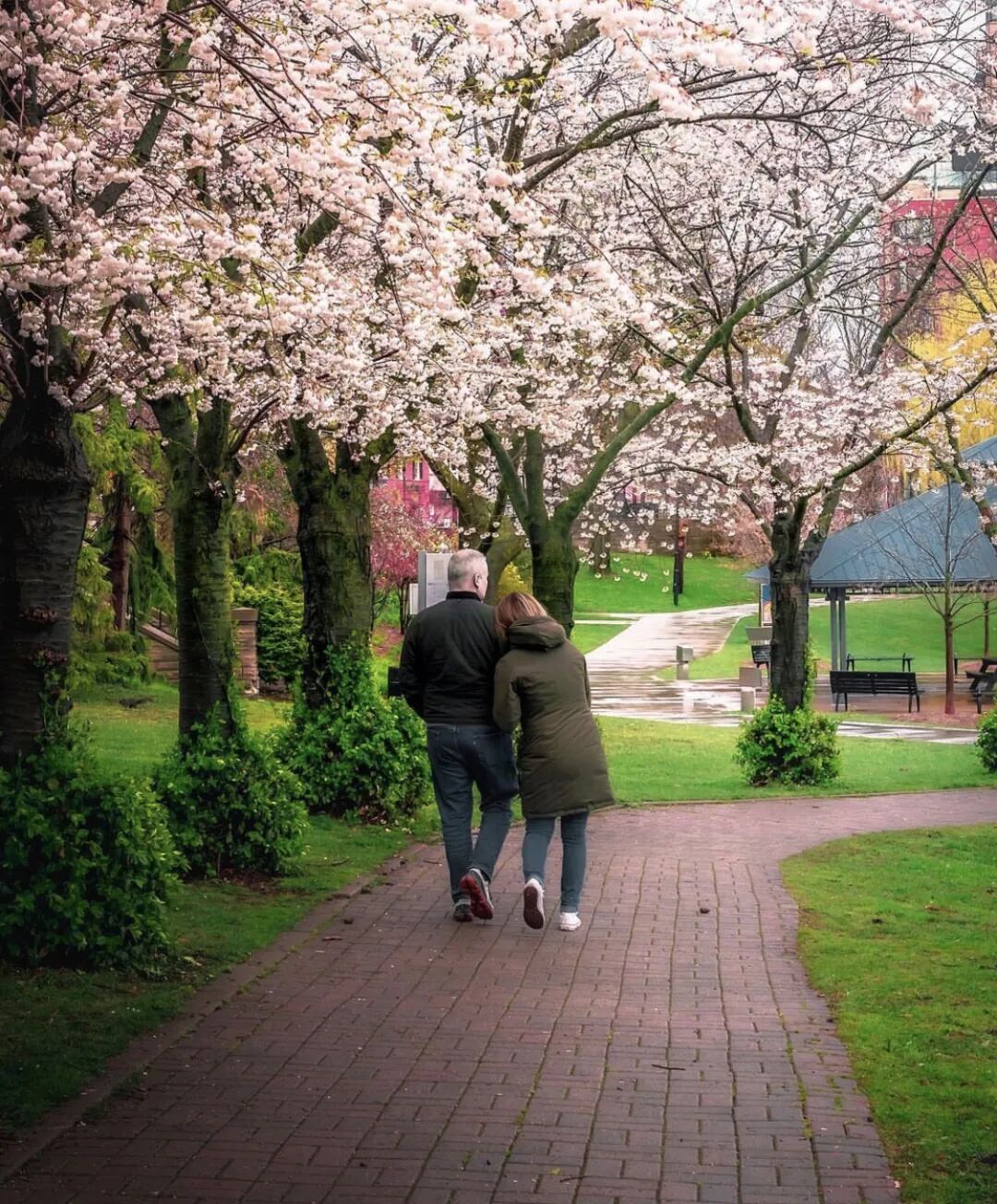 640-20260312-122106-69b31222670c5