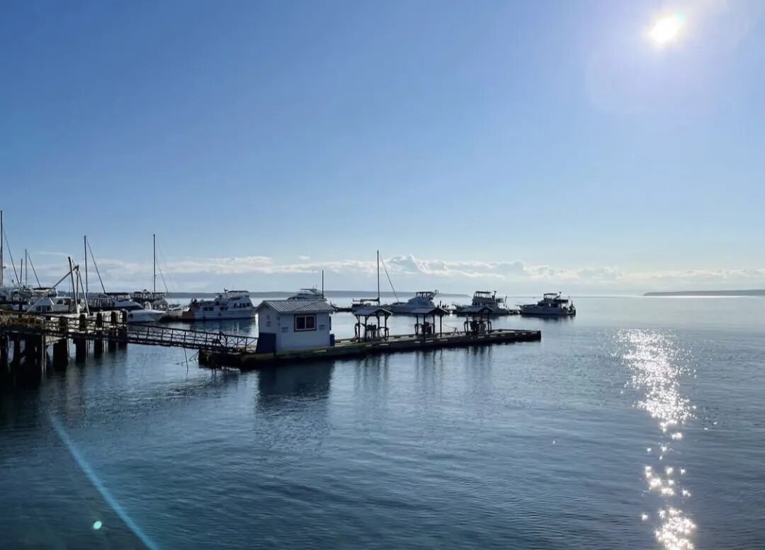 640-20260312-122341-69b312bdd6c06