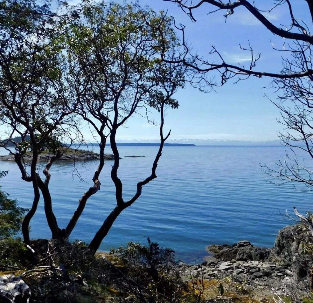 640-20260312-122343-69b312bf2142e