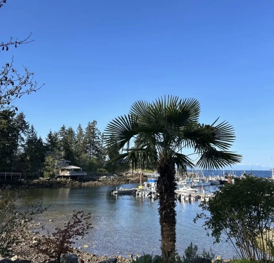 640-20260312-122345-69b312c102f5e