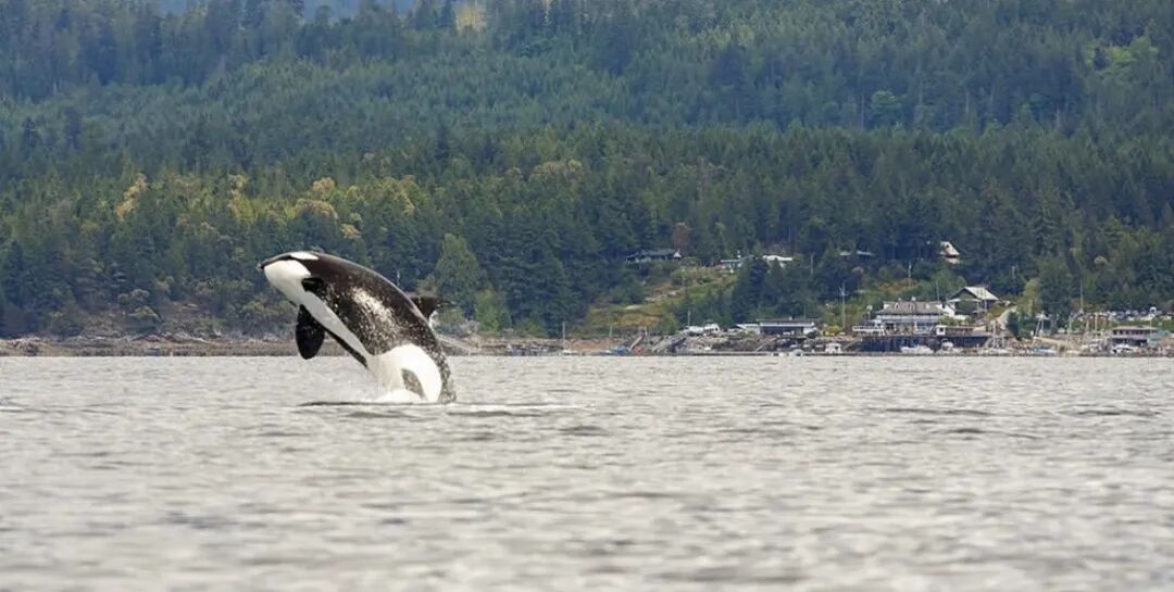 640-20260312-122348-69b312c41abd7