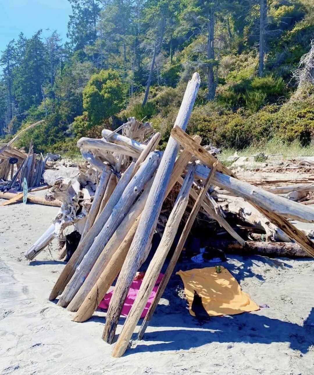 640-20260312-122348-69b312c49c87c