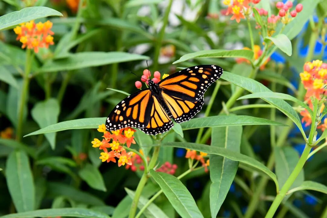 640-20260316-113709-69b84dd541982 640-20260316-113709-69b84dd541982