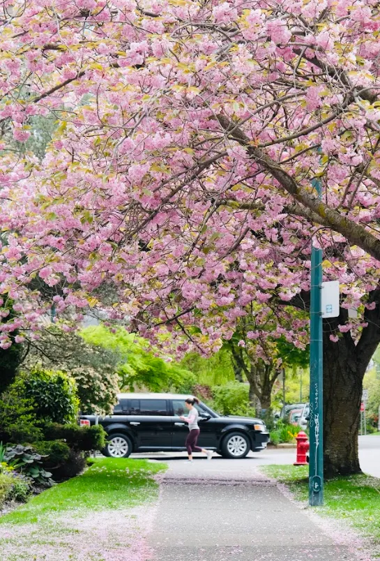 640-20260316-162918-69b8924e7ed70