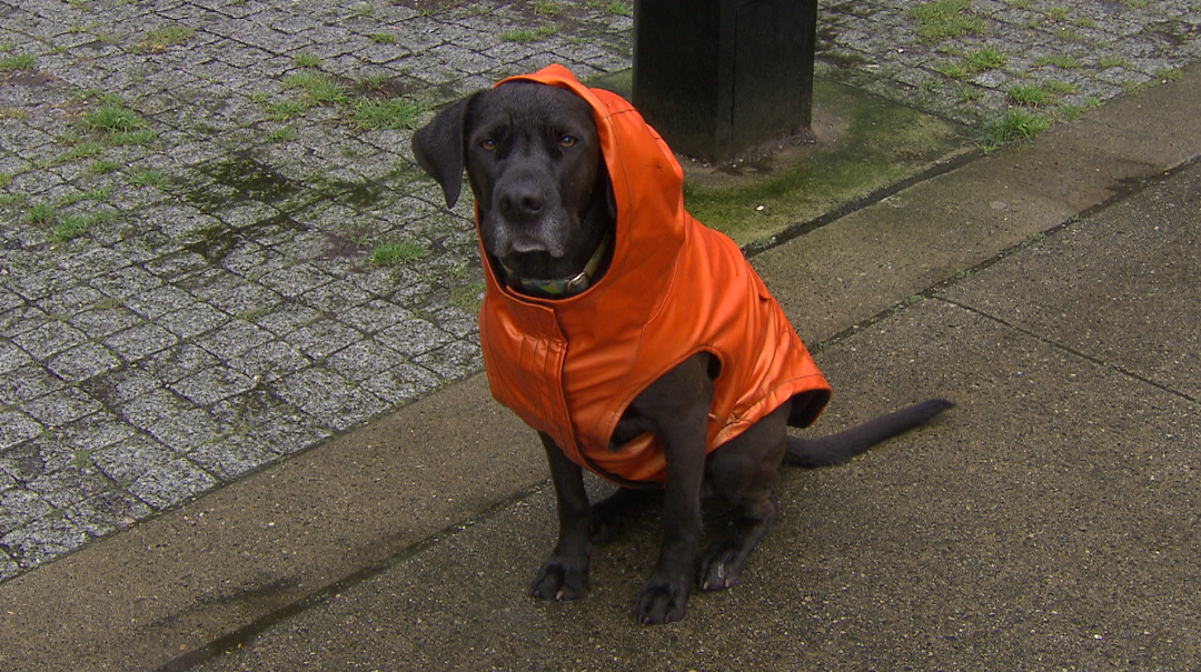 640-20260319-154403-69bc7c338893b