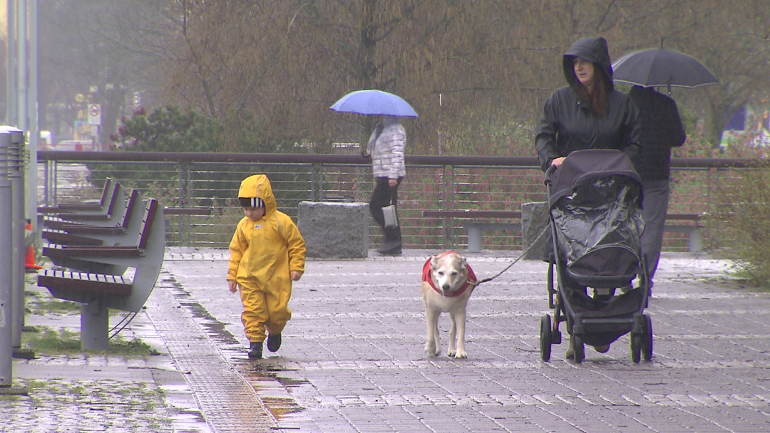 640-20260319-154404-69bc7c3439f85