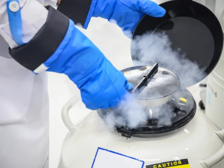 640-20260319-154522-69bc7c8257281