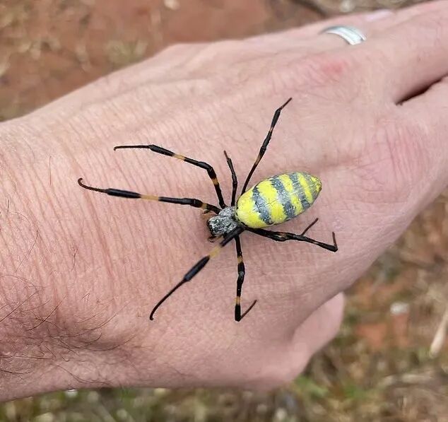 640-20260320-161003-69bdd3cb71c85 640-20260320-161003-69bdd3cb71c85