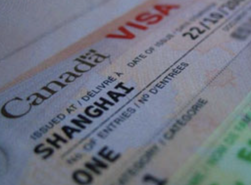 640-20260323-123010-69c194c2ee4bb