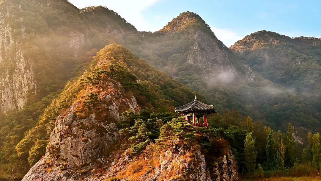 640-20260323-130824-69c19db8bb1c3