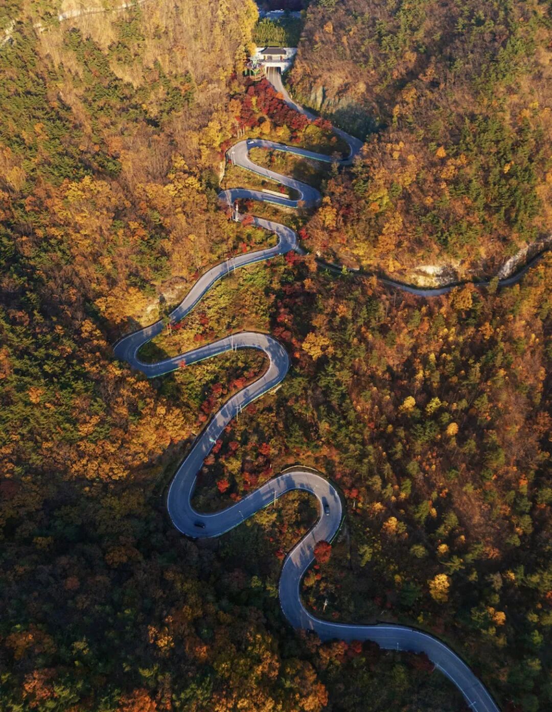 640-20260323-130825-69c19db99eacd