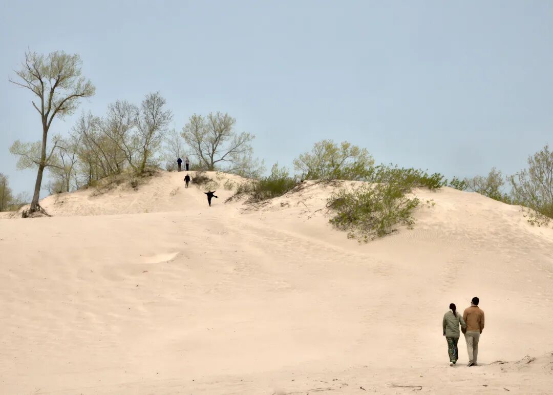 640-20260324-121846-69c2e3966bdd2