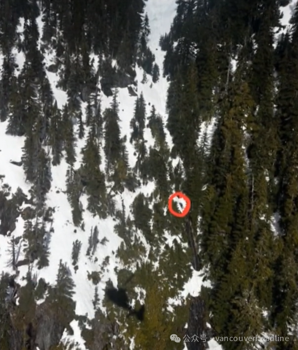 640-20260325-132739-69c4453bed2b7