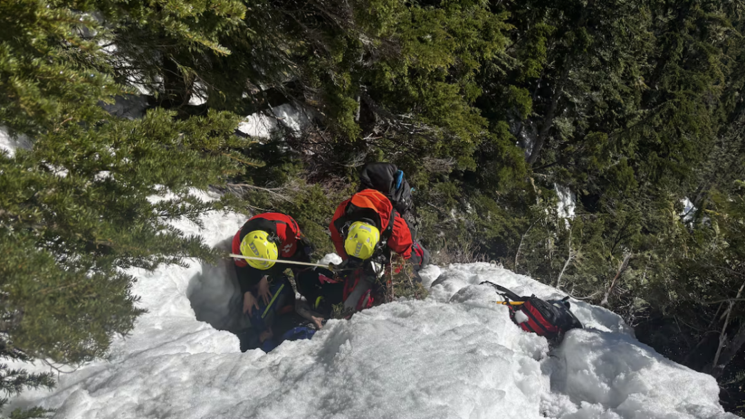 640-20260325-134020-69c44834bceee