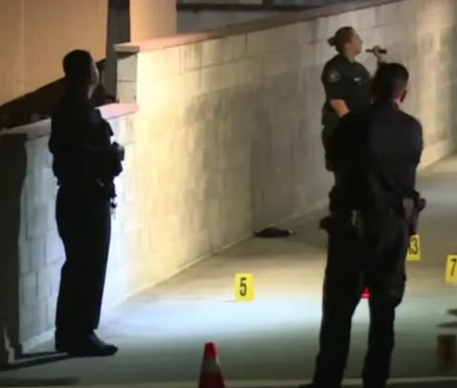 640-20260331-212849-69cc9f015ae27