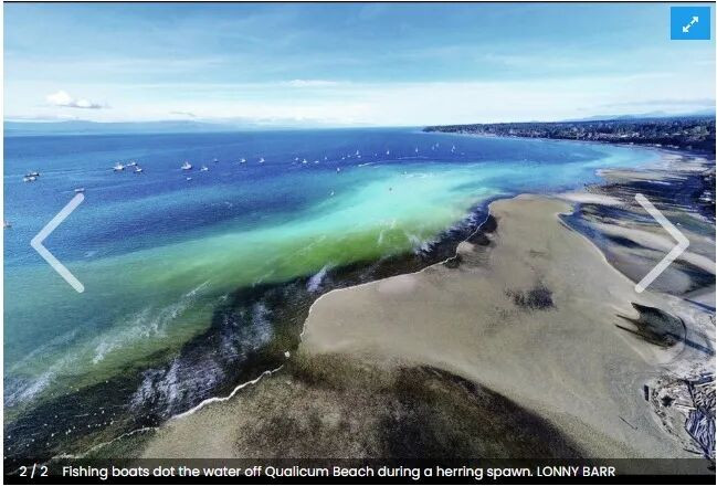 69a4723aef5a5-20260301-113010-69a493c28c906