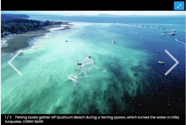 69a4723b19ac7-20260301-113010-69a493c275cf5