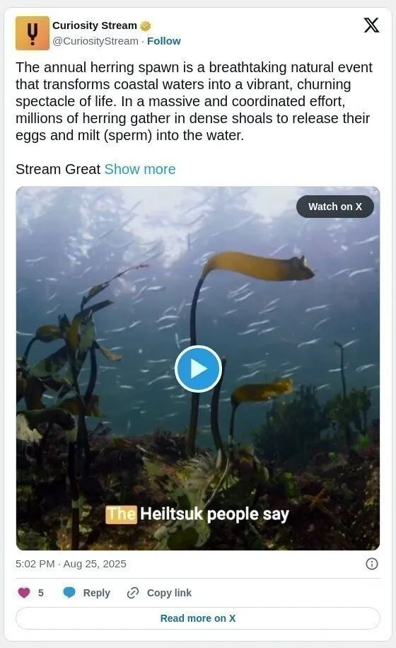 69a4723b1c62f-20260301-113010-69a493c26f6bd