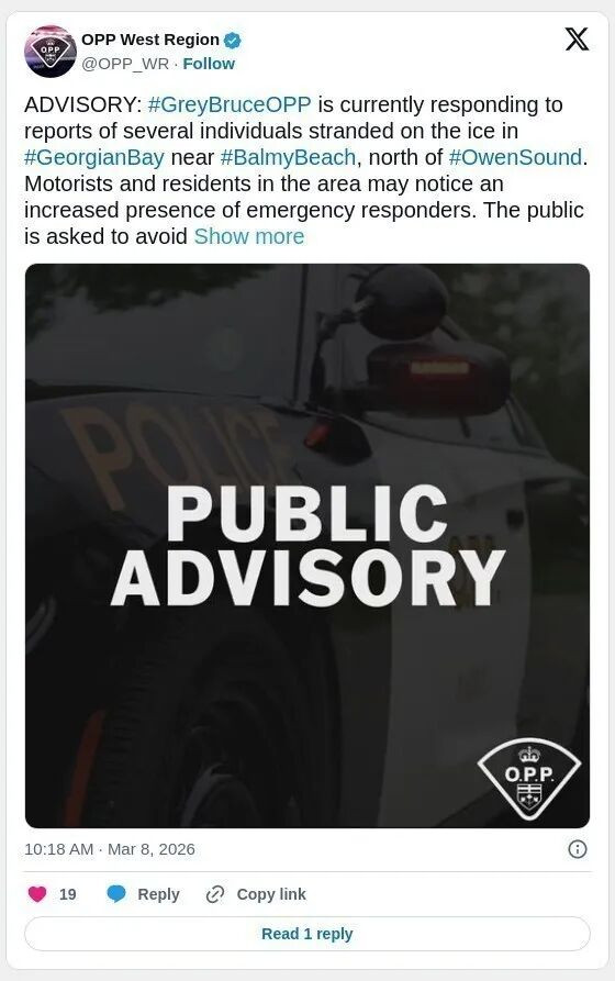 69b02b46c3465-20260310-095655-69b04d578578f