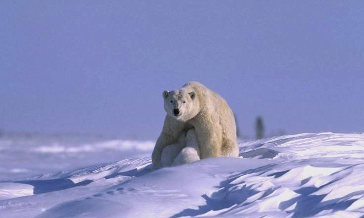 b03533fa828ba61edf9a3cb602e0a11a314e5913.jpeg@f_auto-20260312-135202-69b32772d6572