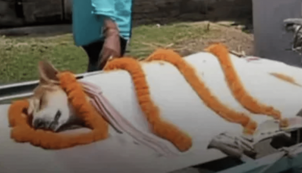 2026-04-27_22_09_47-20260428-085406-69f0d81e3deee