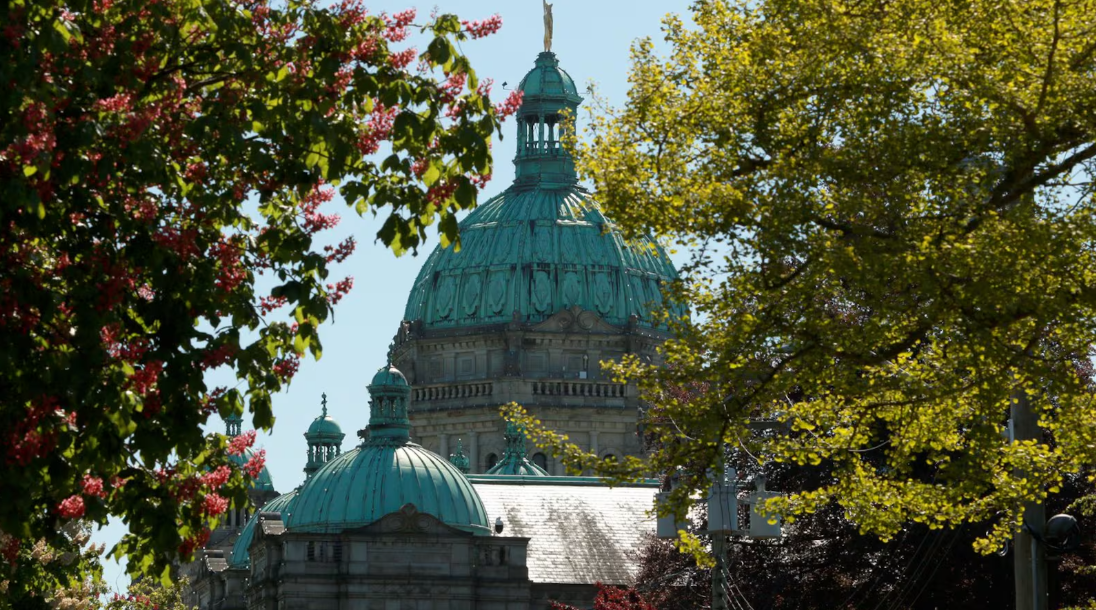 26040702-20260407-121101-69d556c5dfb24