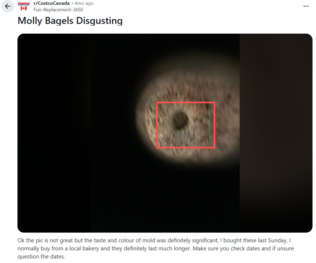 640-20260401-140420-69cd885445377