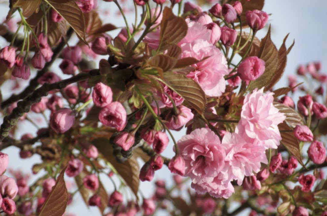 640-20260401-160846-69cda57ec6b97