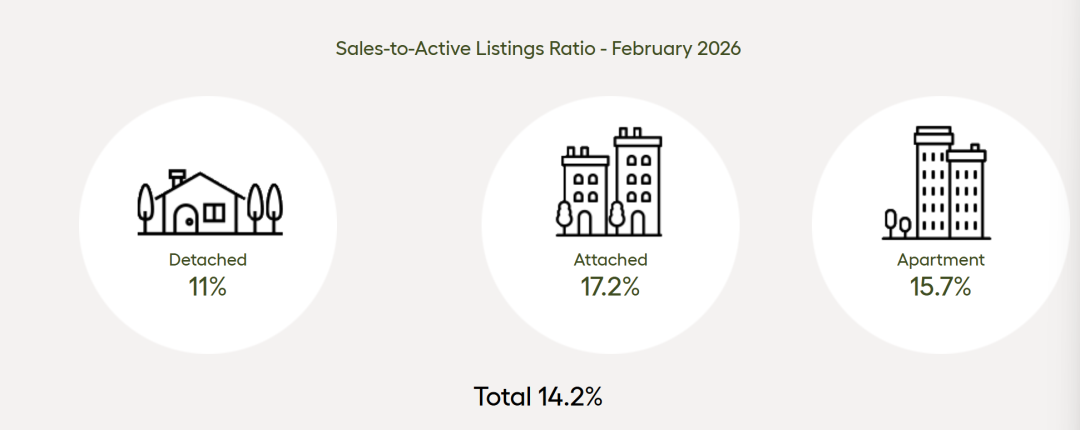 640-20260402-112657-69ceb4f1eb596 640-20260402-112657-69ceb4f1eb596