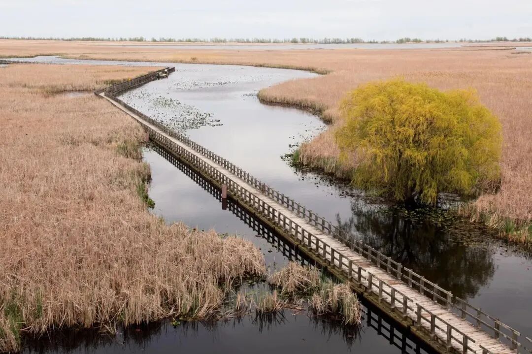 640-20260406-133921-69d419f973ea3 640-20260406-133921-69d419f973ea3