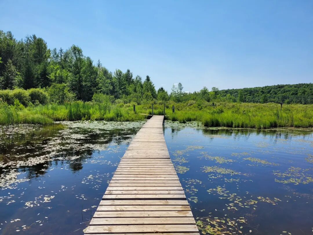 640-20260406-133921-69d419f9a708f 640-20260406-133921-69d419f9a708f