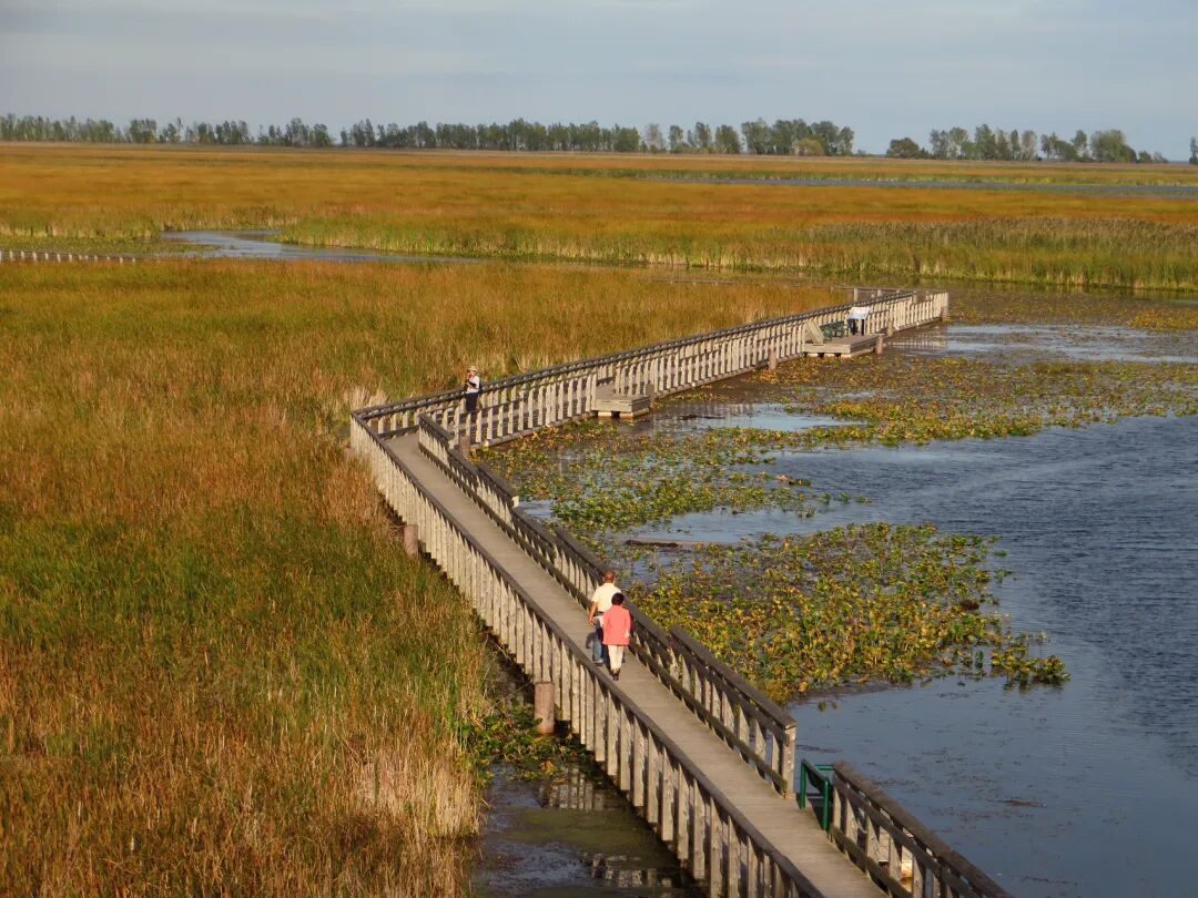 640-20260406-133921-69d419f9b67e5 640-20260406-133921-69d419f9b67e5