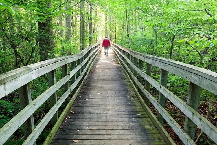 640-20260406-133923-69d419fb37994 640-20260406-133923-69d419fb37994