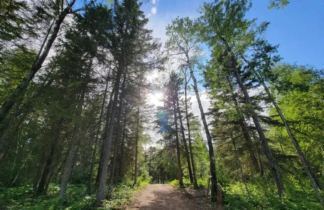 640-20260406-133923-69d419fb3a9c5 640-20260406-133923-69d419fb3a9c5