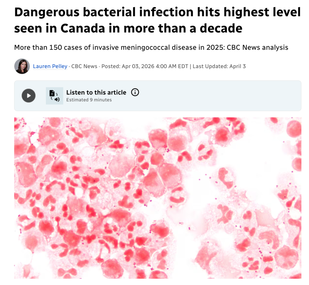 640-20260408-123946-69d6af02c786e