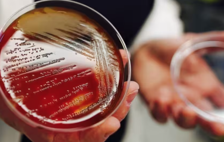 640-20260408-123951-69d6af0719c0f