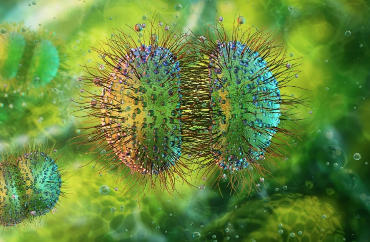 640-20260408-124002-69d6af12e0774