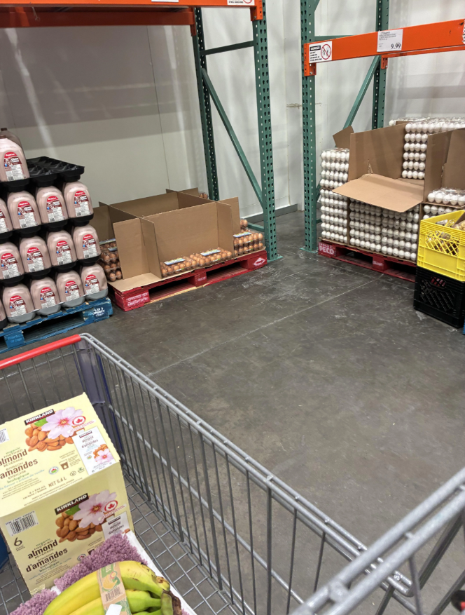 640-20260410-104536-69d93740a3646