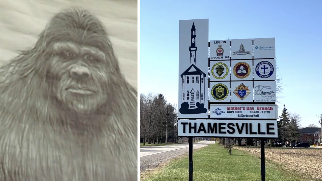 640-20260410-133338-69d95ea2261b3 640-20260410-133338-69d95ea2261b3