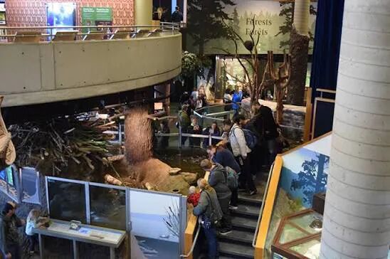 640-20260410-142352-69d96a681ca18