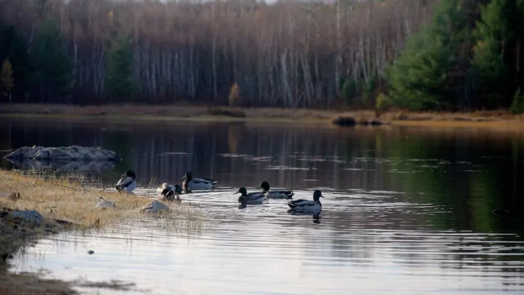 640-20260410-142359-69d96a6f05c48