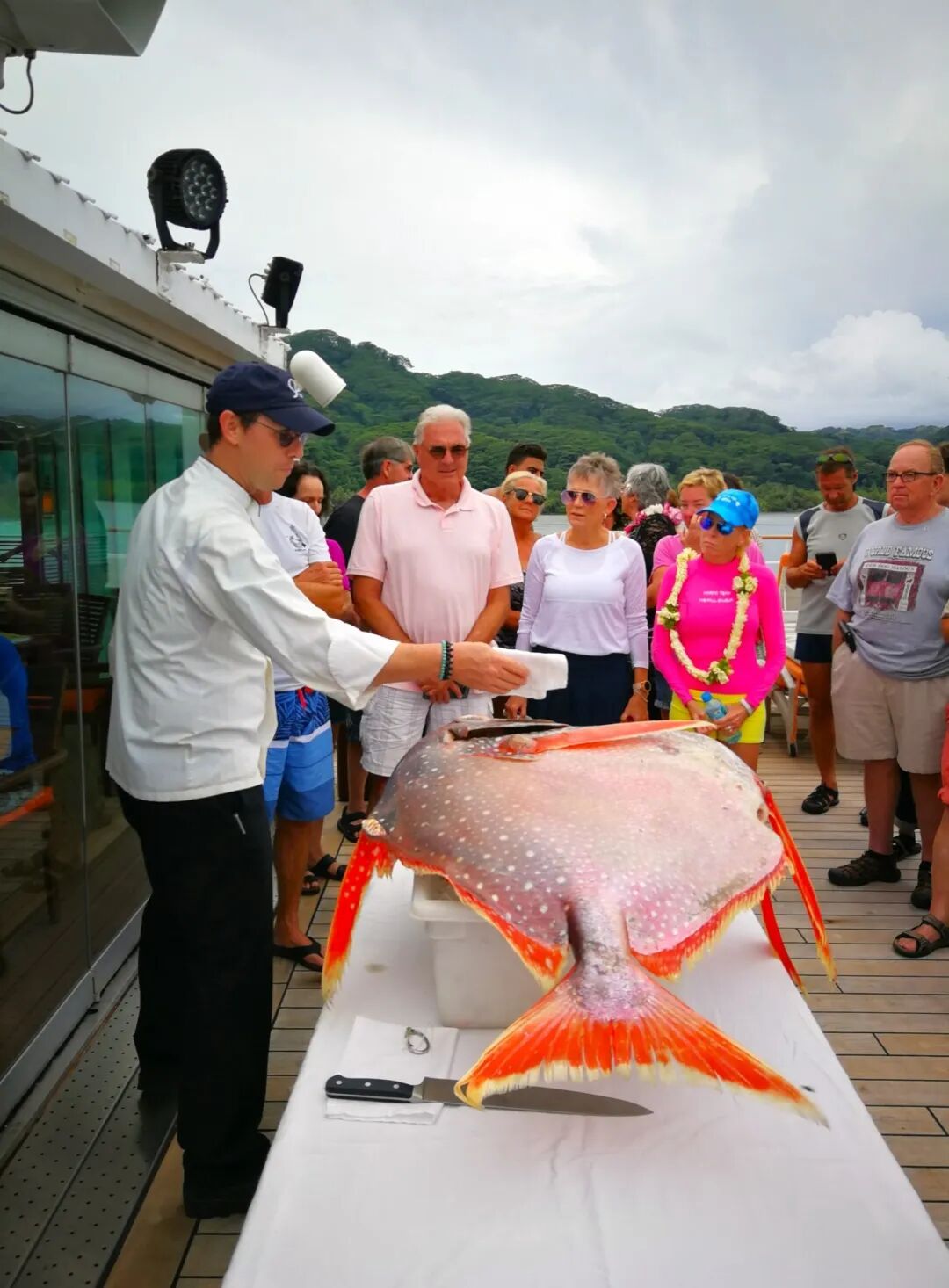 640-20260423-110102-69ea5e5e9620a