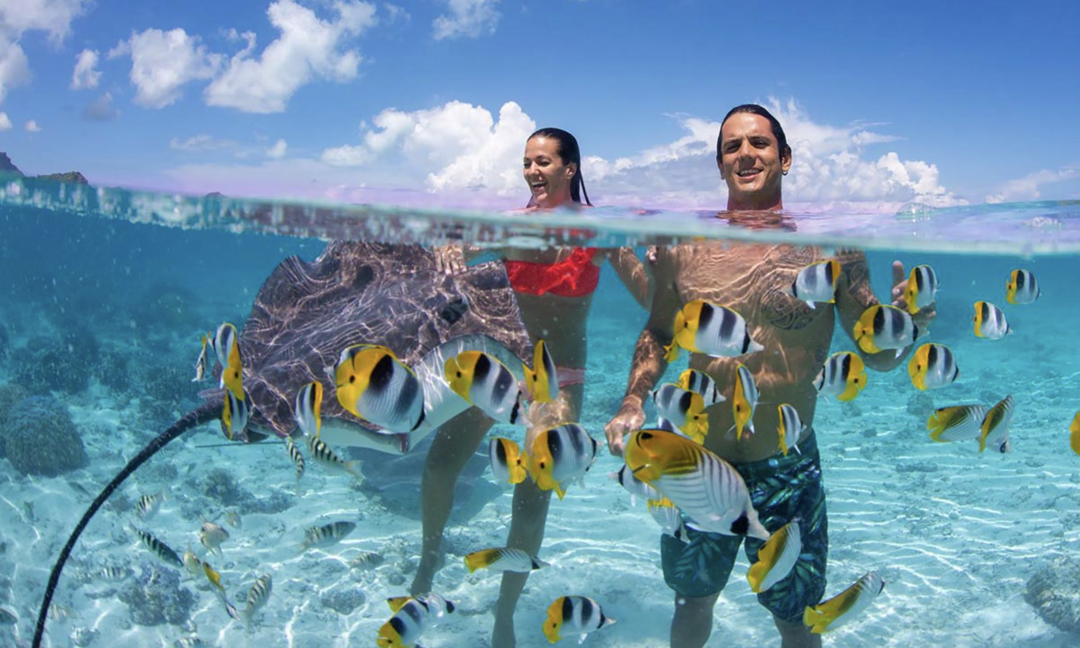 640-20260423-110106-69ea5e6297cb0